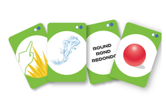 Search Wiz Scavenger Hunt Card Game