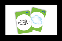 Search Wiz Scavenger Hunt Card Game