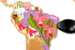 Colorful map of Washington state with floral design on a white background