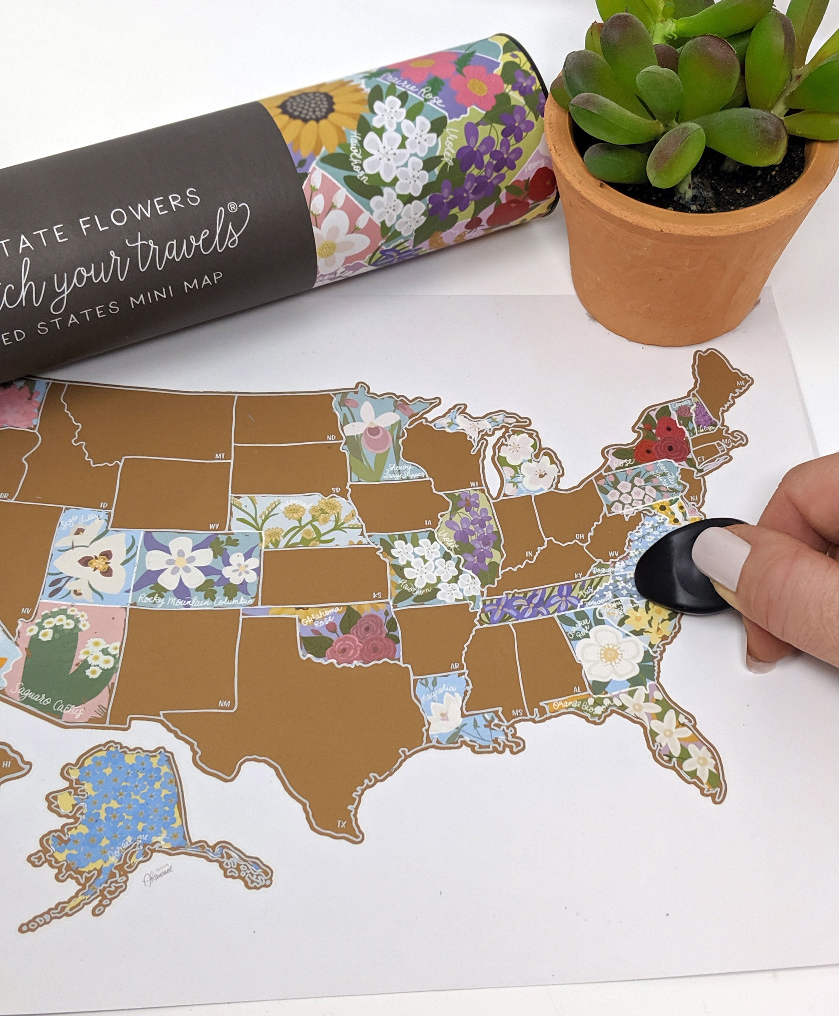 United States map with state flowers, a roll of floral-patterned paper, and a potted plant on a white surface.