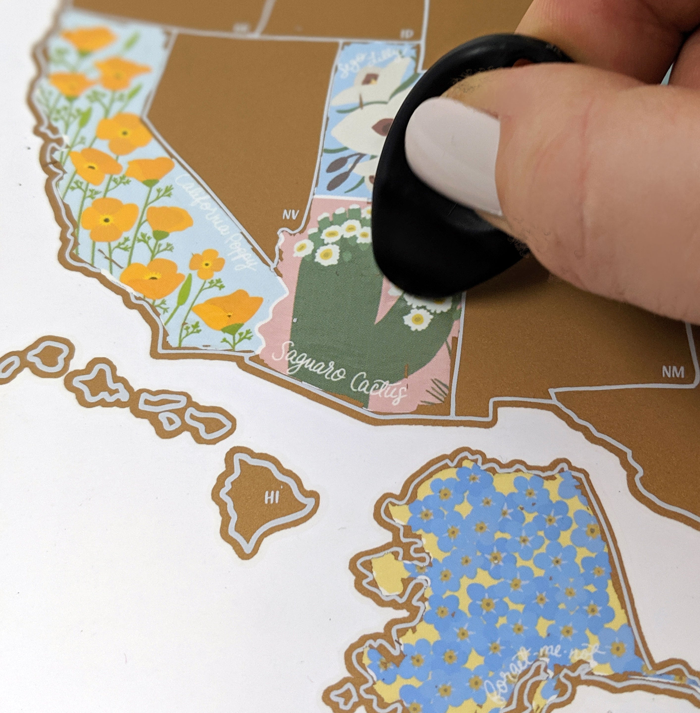 Map of California with floral designs and a hand using a black tool to press on it.