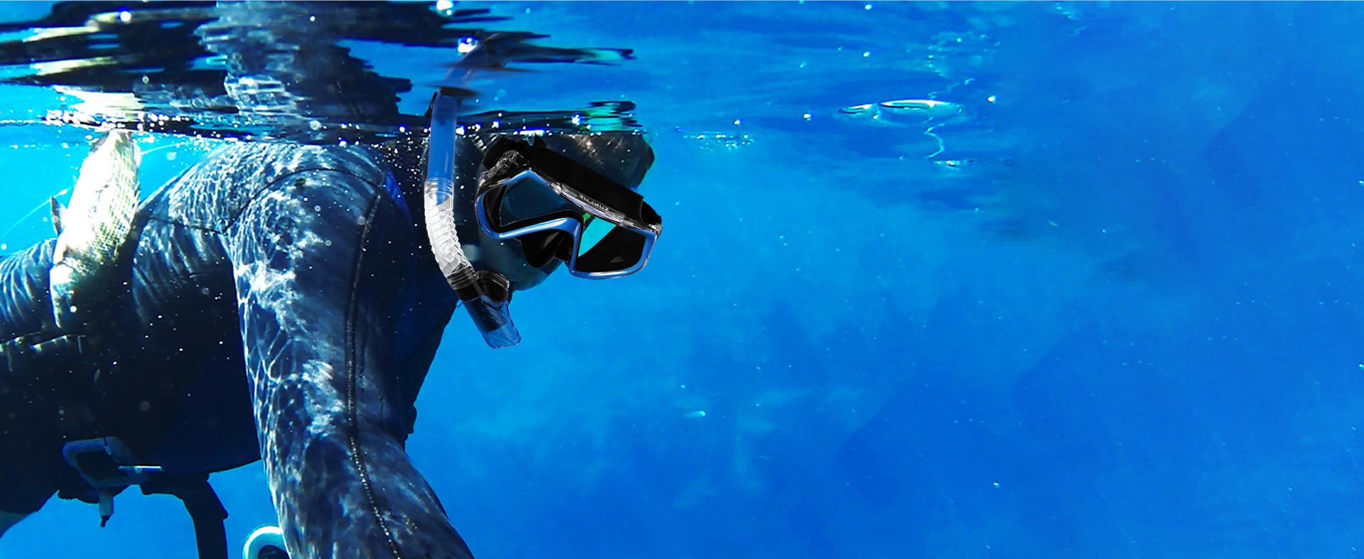 Person snorkeling underwater in clear blue water