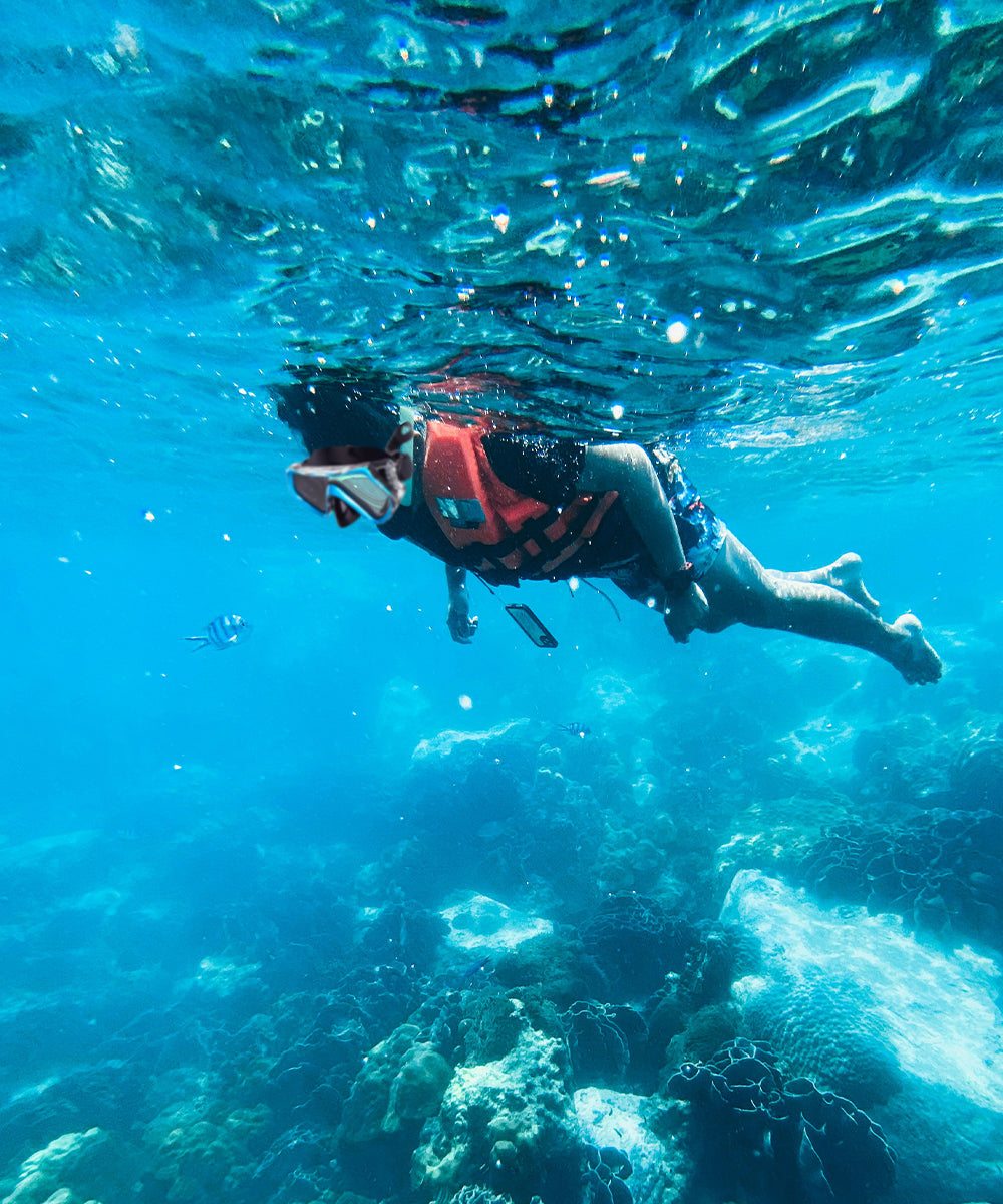 Person snorkeling underwater with clear blue water and coral reef.