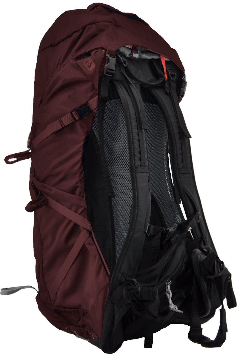 Maroon and black backpack on a white background