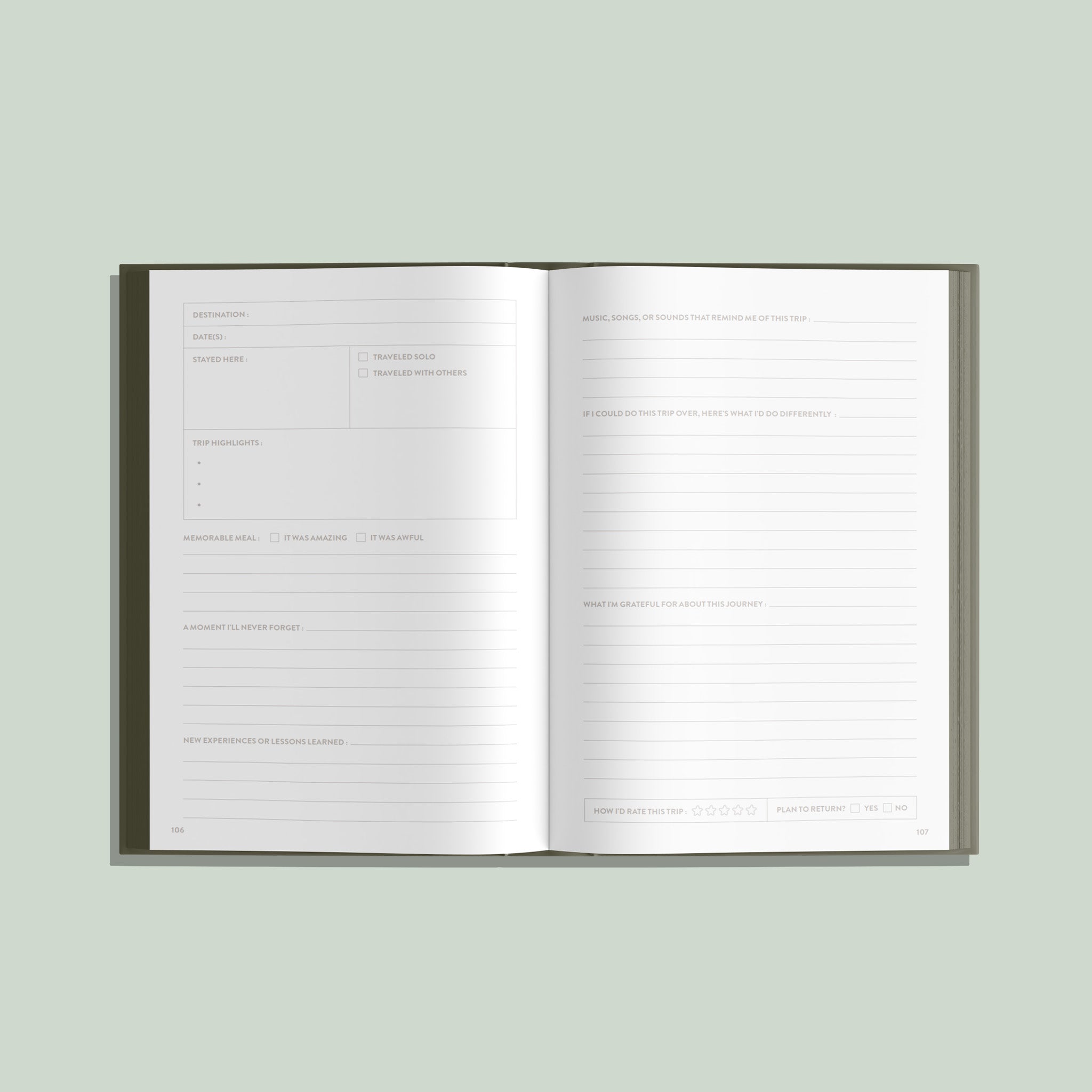 Open book with lined pages on a light green background