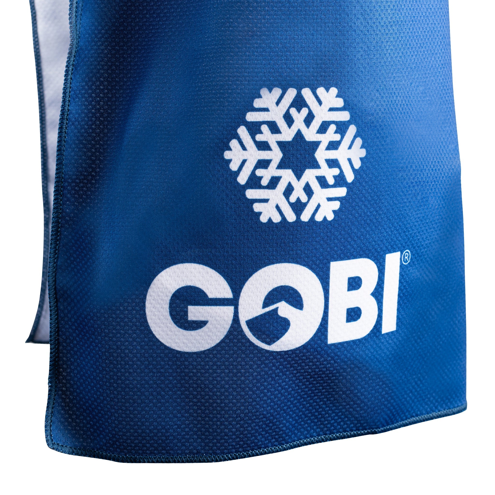 Blue bag with a snowflake logo and 'Gobi' branding on a white background