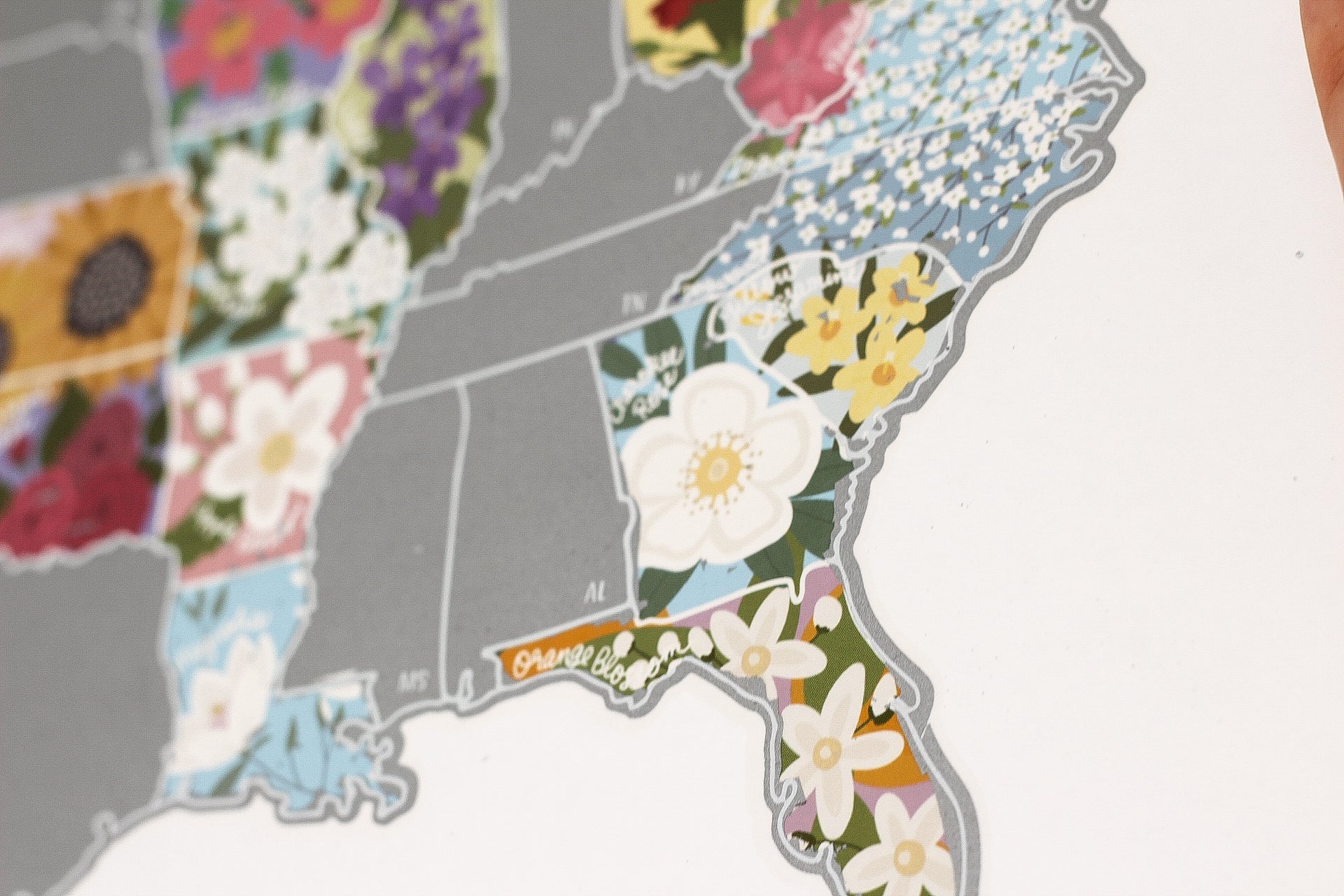 Map of the United States with floral patterns on a white background