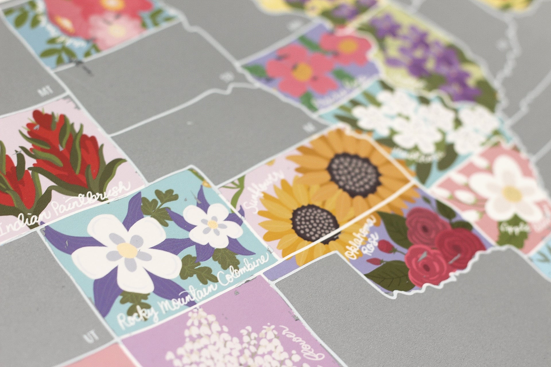 Floral stickers arranged on a gray surface