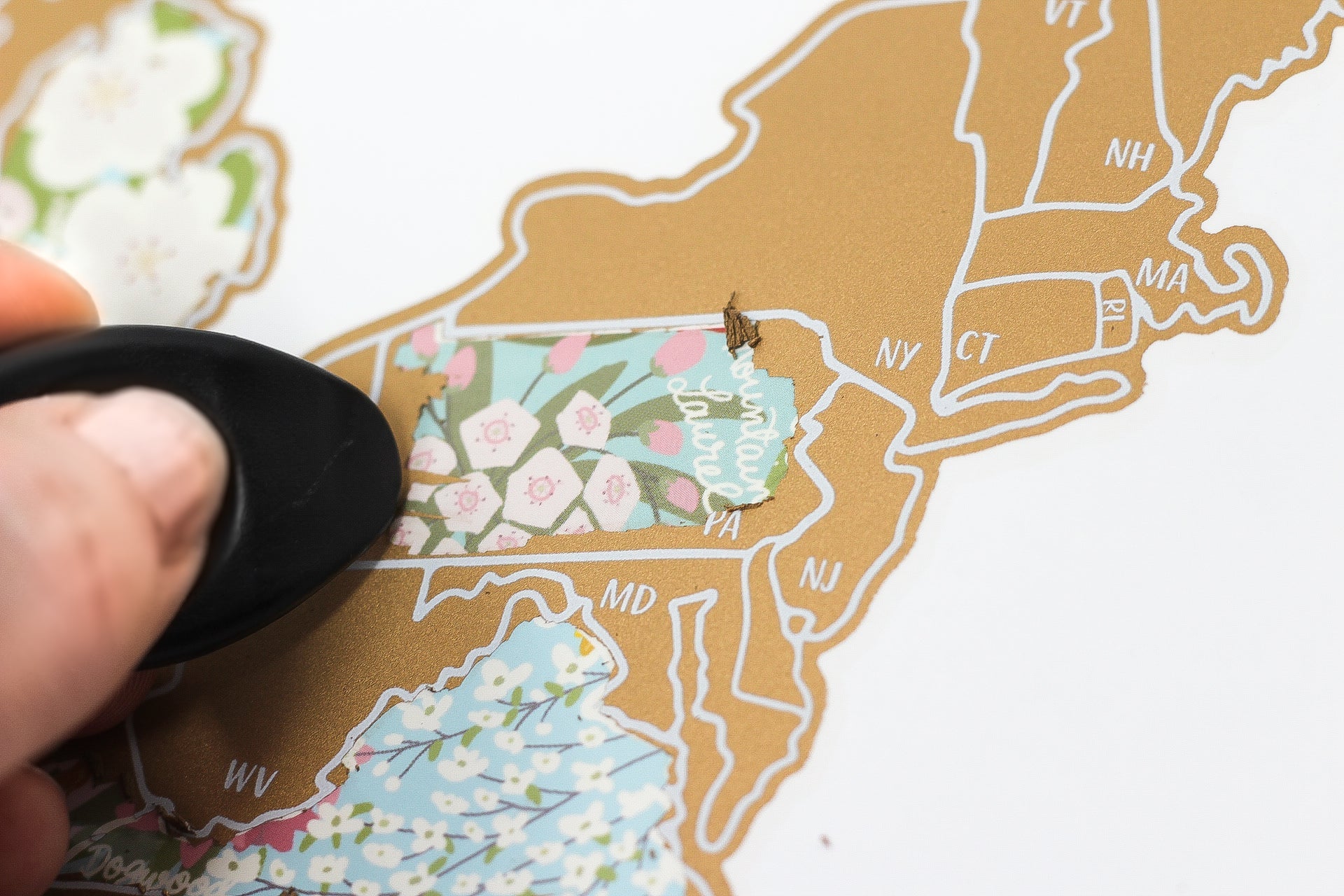 Hand using a tool to peel off decorative paper with floral design from a map of the United States.