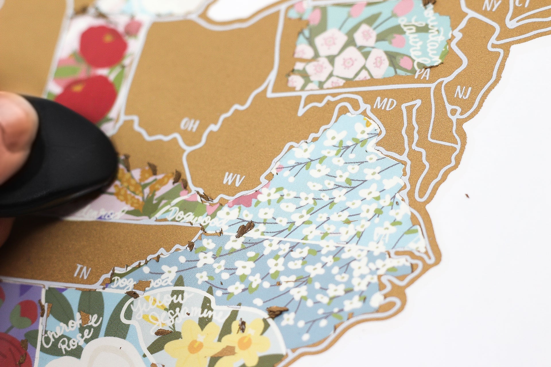 Map of the United States with floral stickers being applied