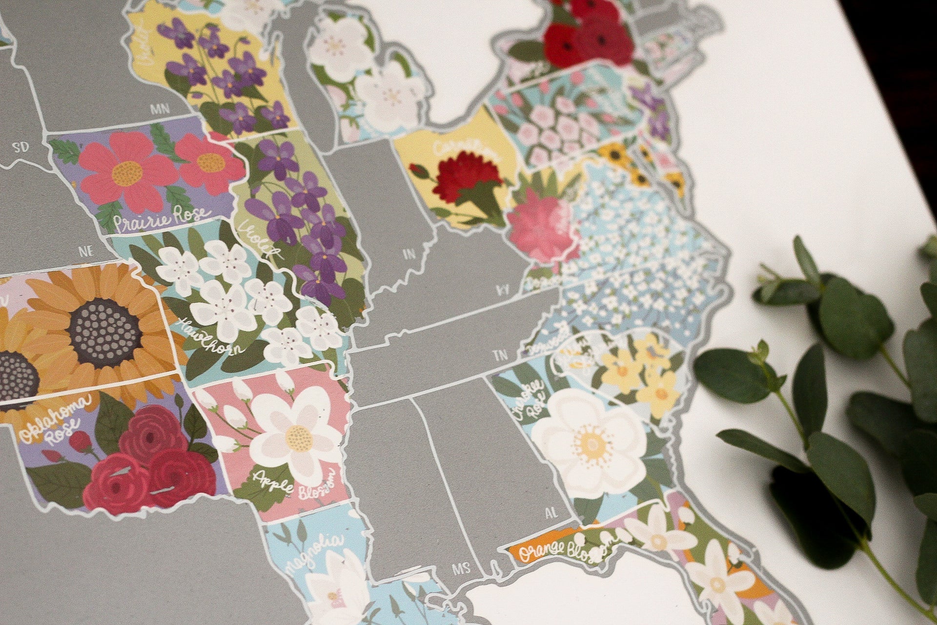 Map of the United States with floral stickers on a white background