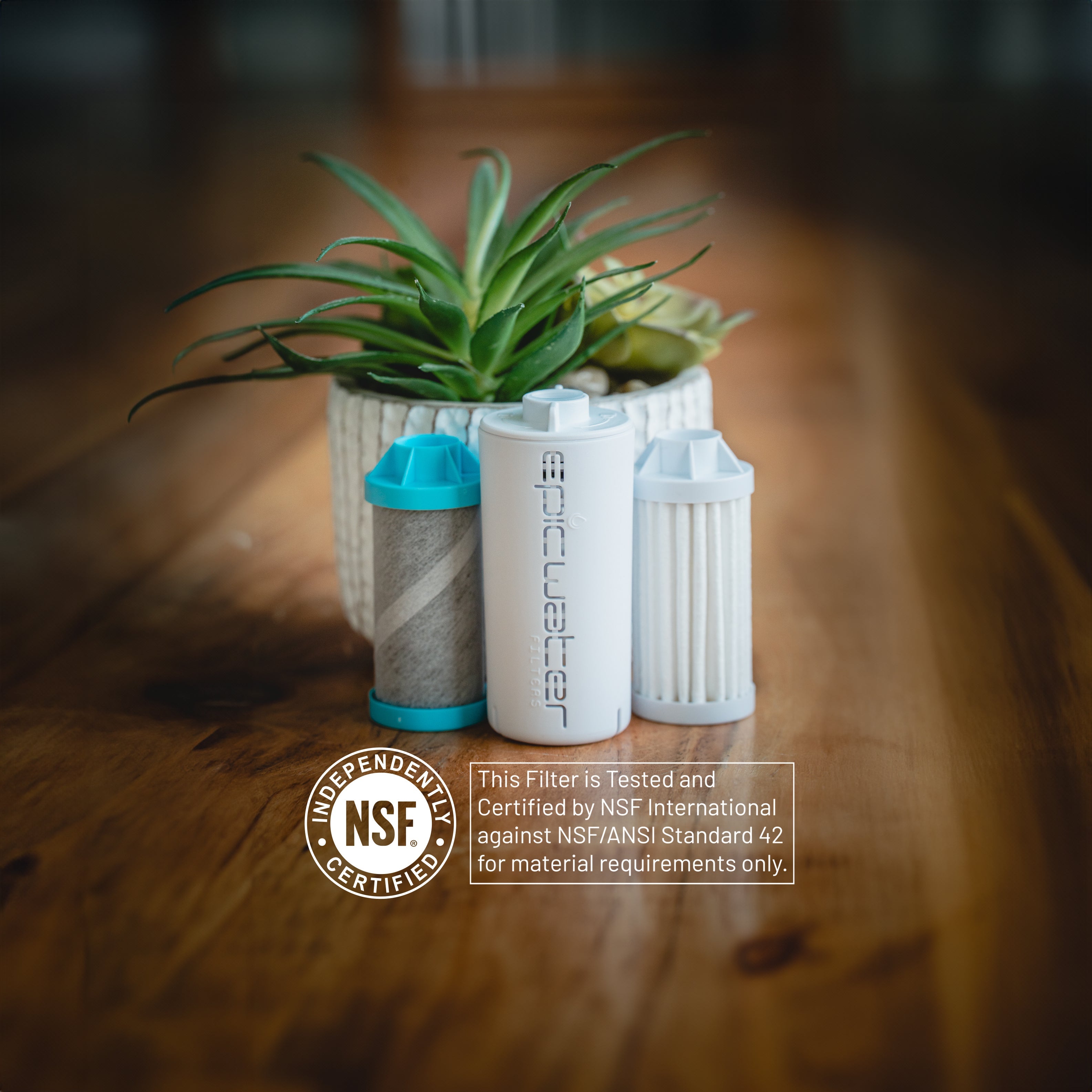 Two water filters on a wooden surface with a plant in the background