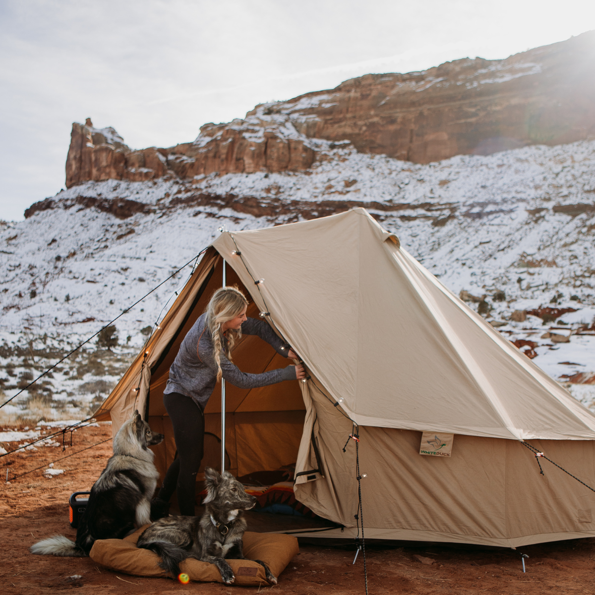 Person setting up a tent in a snowy mountainous area with two dogs nearby.