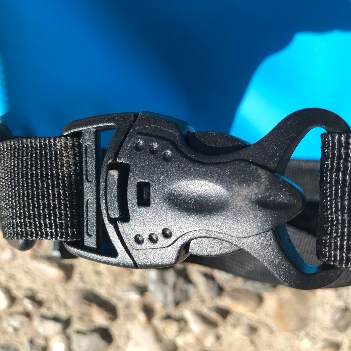 Close-up of a black dog collar with a metal clasp against a blue background