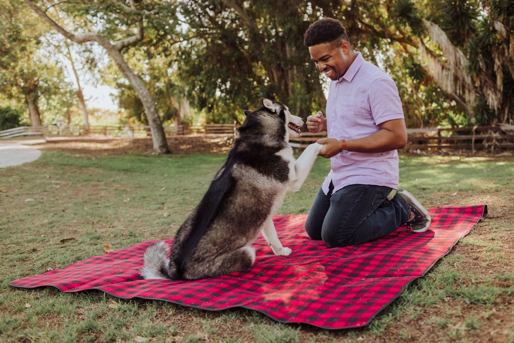Man and dog on a red checkered blanket in a park