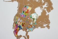 Map of North America with floral designs on a light gray background