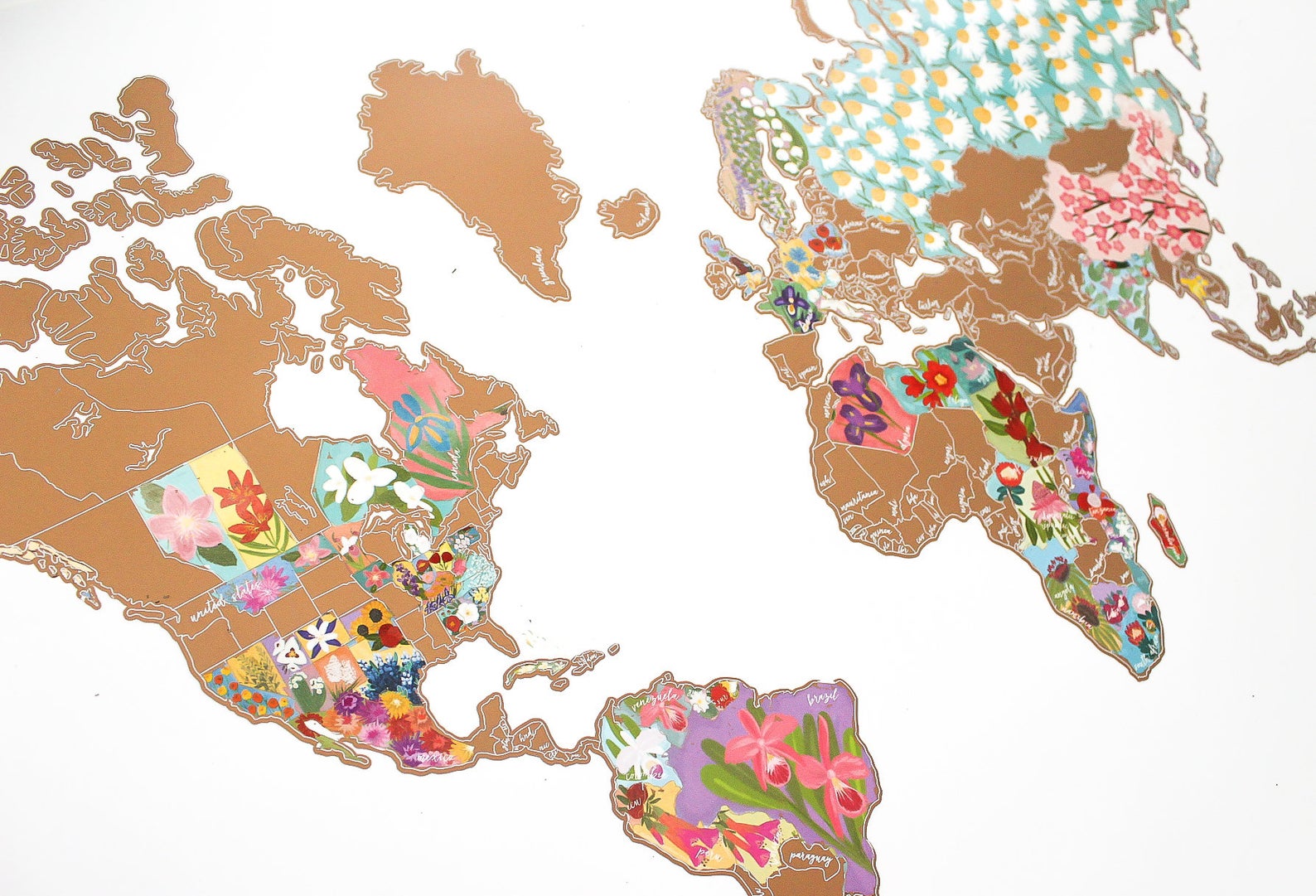 World map with floral designs on a white background