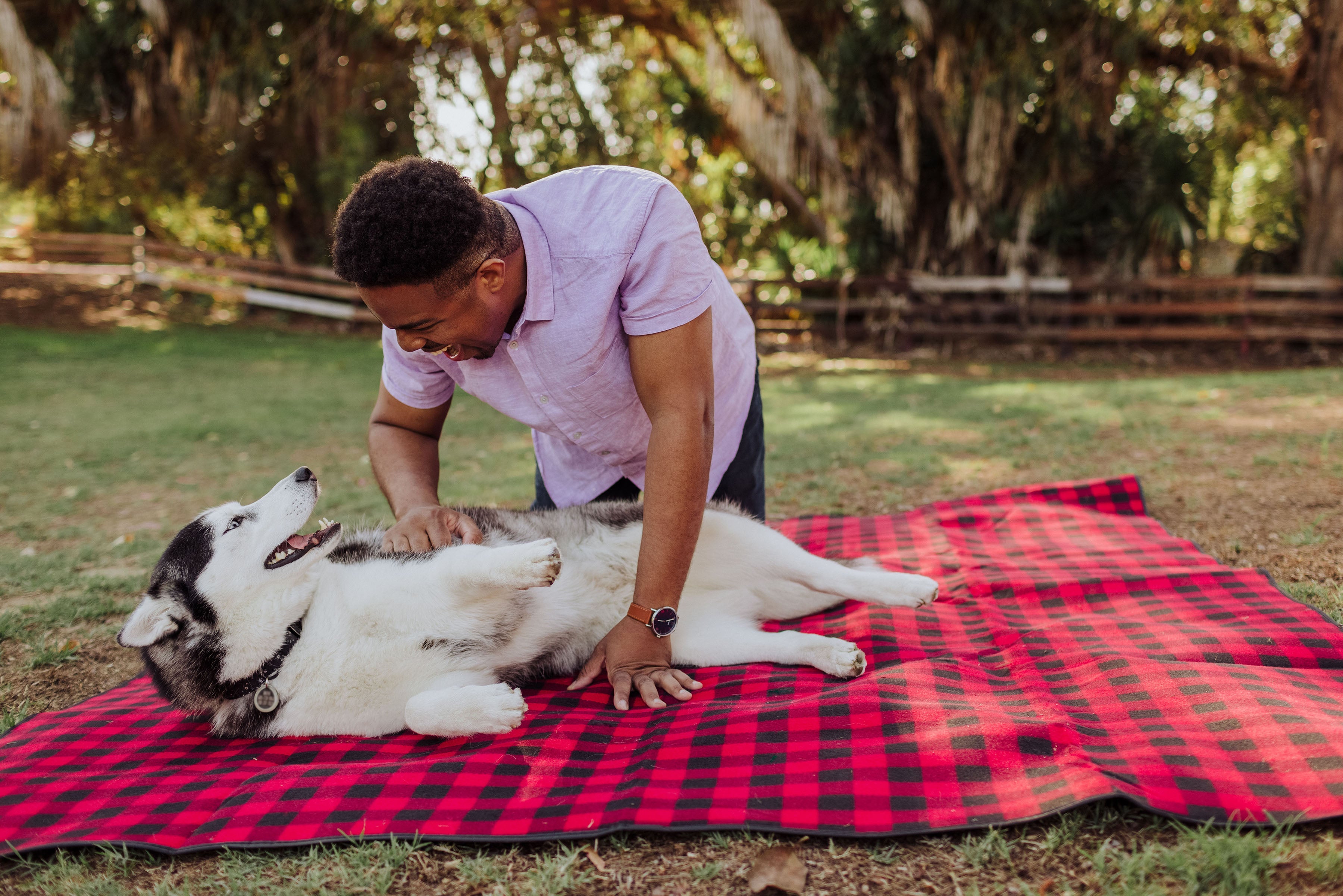 Man petting a dog on a red and black checkered blanket outdoors.